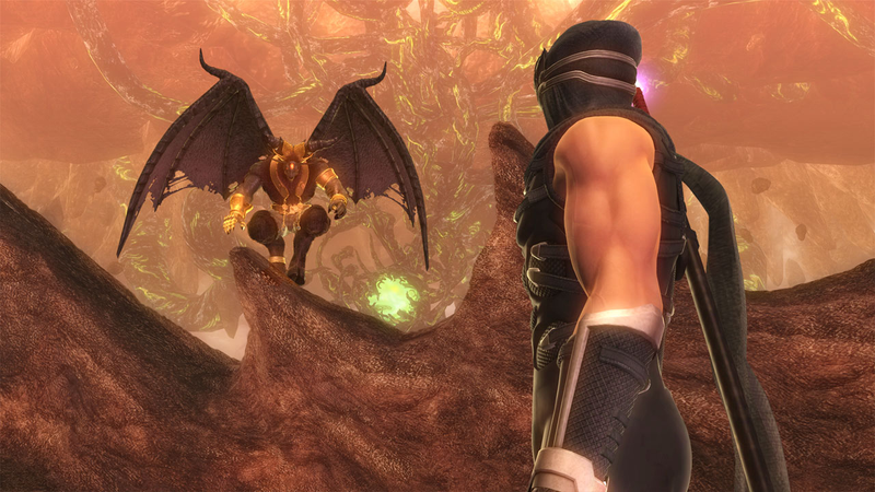 Illustration for article titled Ninja Gaiden Sigma 2 Has Really Big Guns
